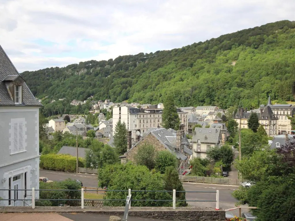 Appartement Mont-Dore, 1 pièce, 4 personnes - FR-1-608-100