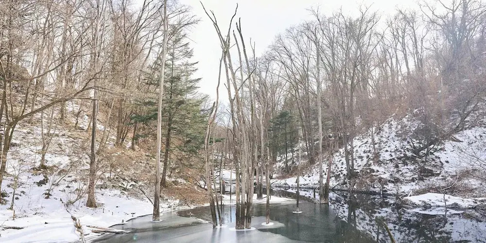 YADOKARI Village 北軽井沢