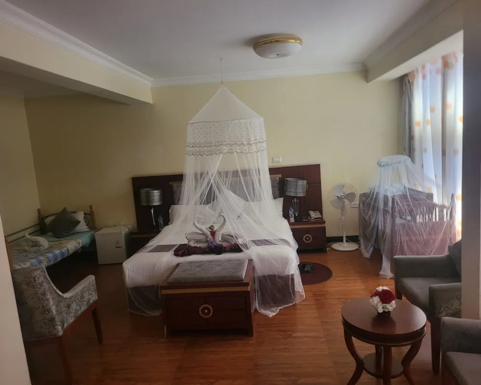 PALM PALACE Best BUDGET HOTEL & TOUR Options s