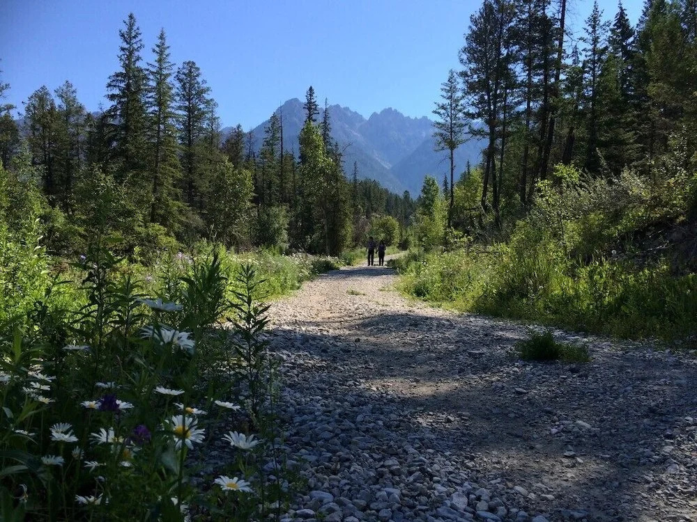 Fairmont Creek Property Rentals Vacation Homes