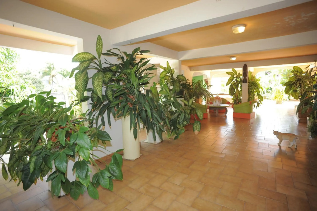 Au Domaine Des Bougainvilliers