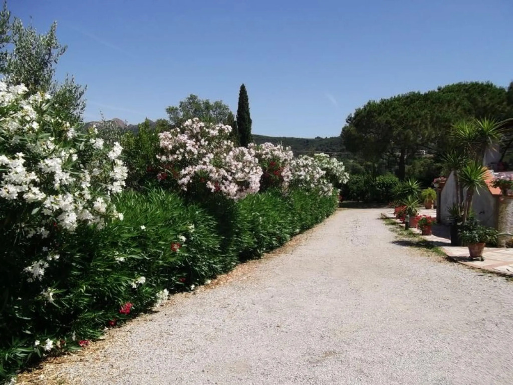 The Casina sleeps 4 surrounded by greenery-LA CASINA A SCHIOPPARELLO