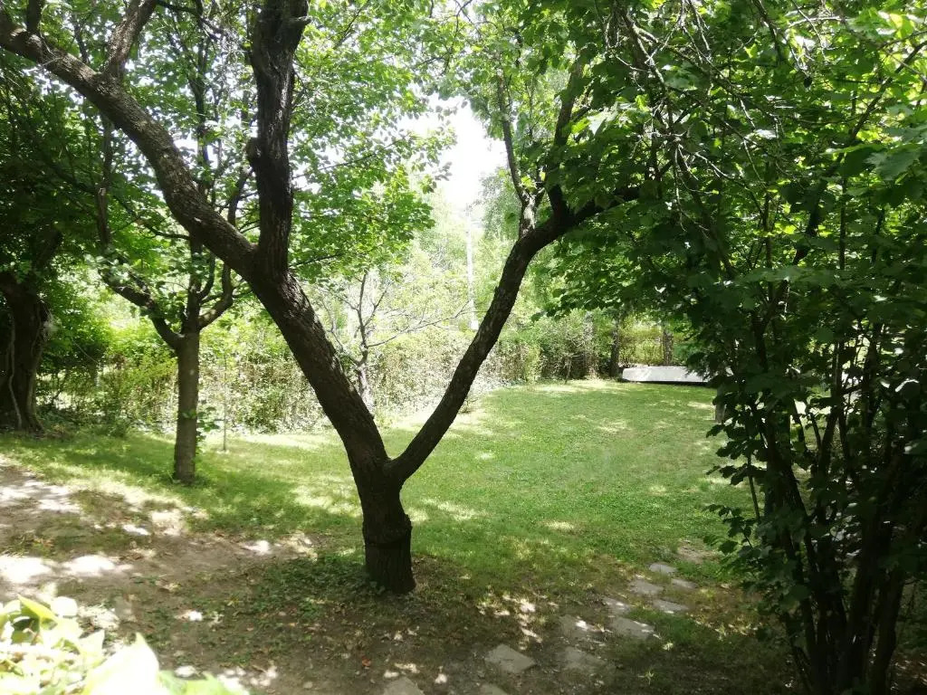Bocke Beach House