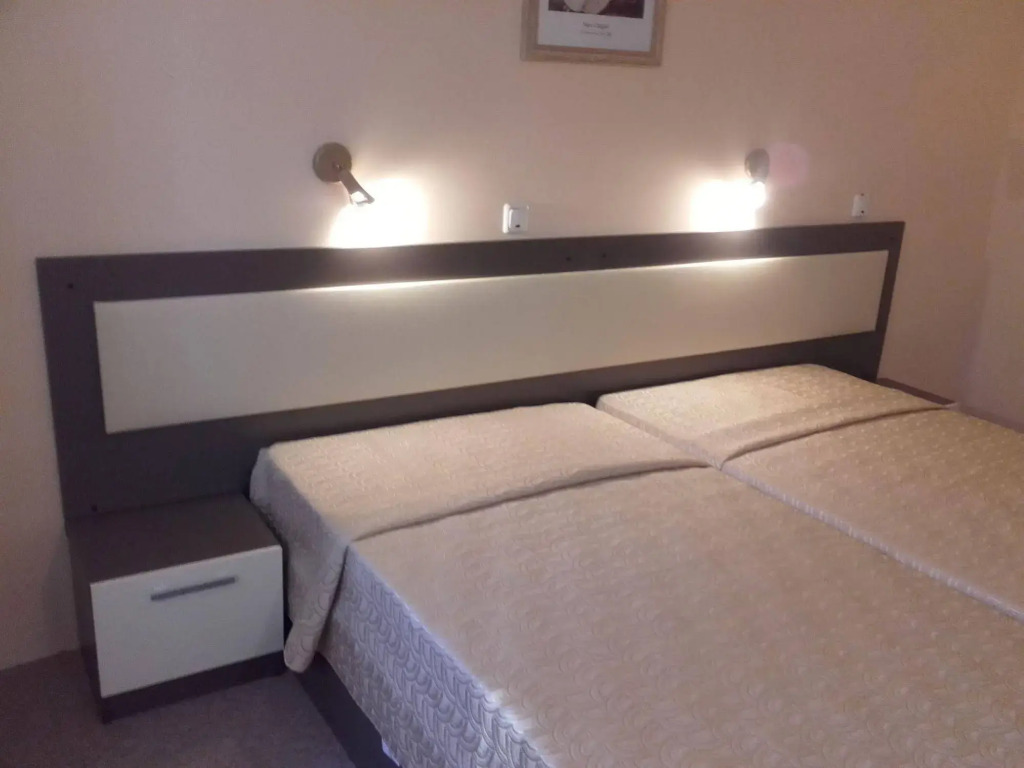 Hotel Bor