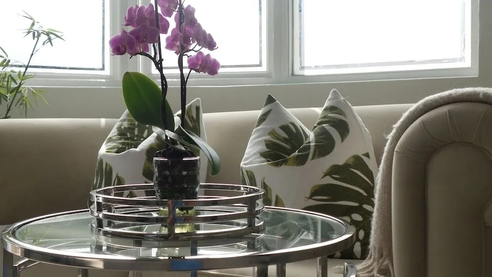 Melrose Executive Suites