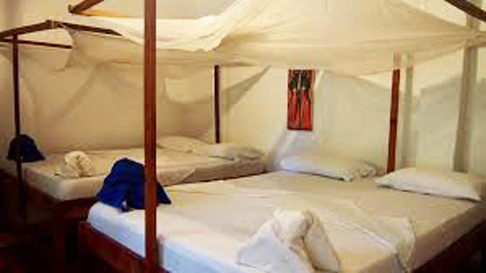Caveman Eco-Lodge