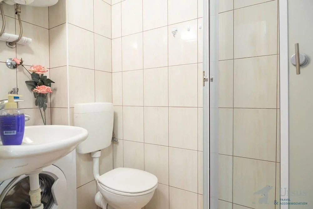 Apartment Ruža