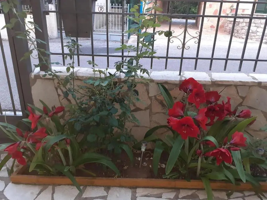 Maria's house
