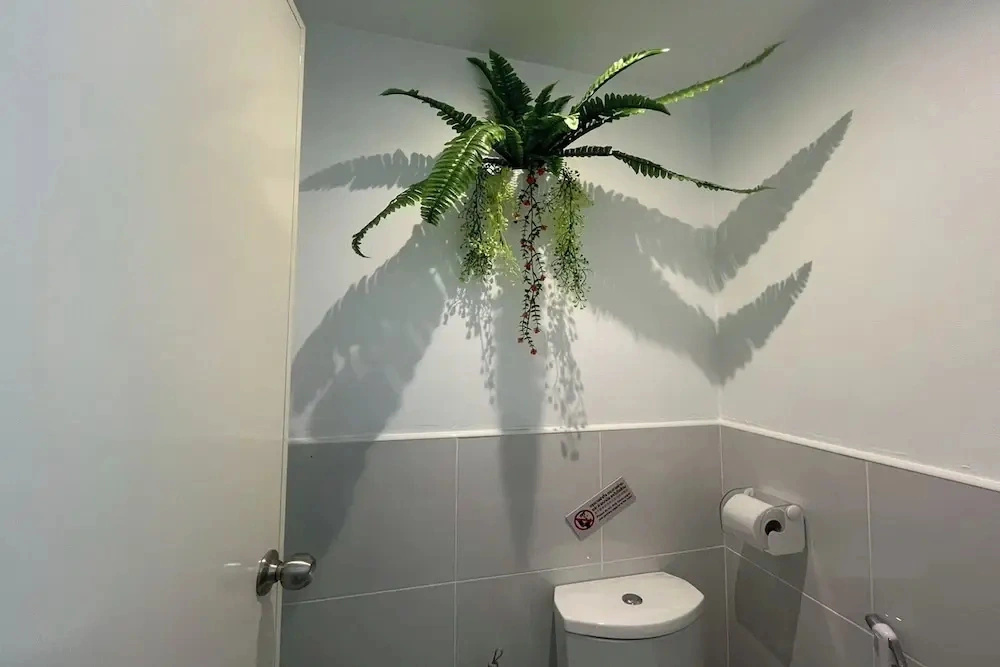 Lazy Lizard Hostel