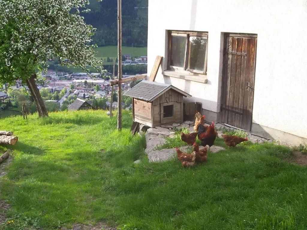 Pension Spreitzhof & Appartement Royer