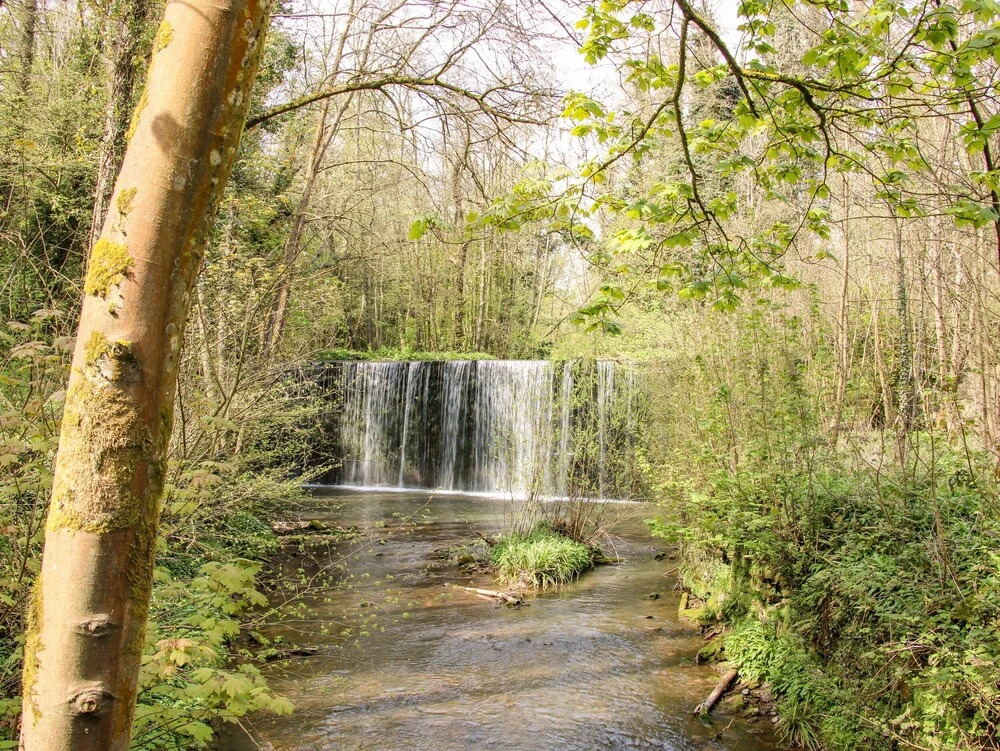 Kingfisher Lodge