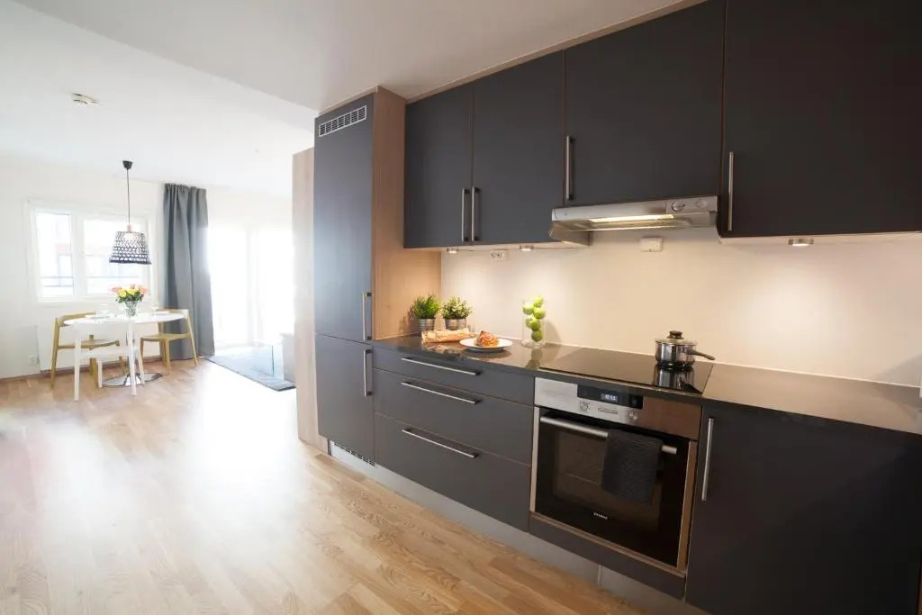 BJØRVIKA APARTMENTS, Damsgård Area, Bergen city center