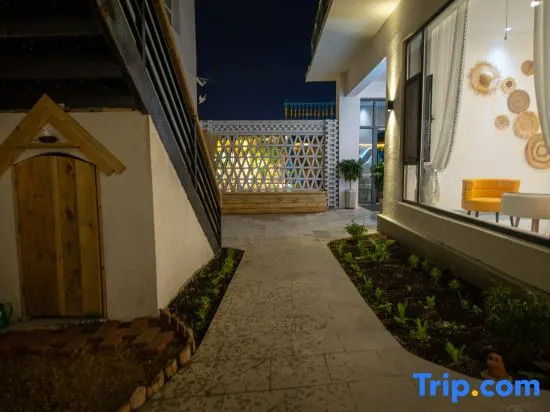 Turks Flip Pigeon Homestay