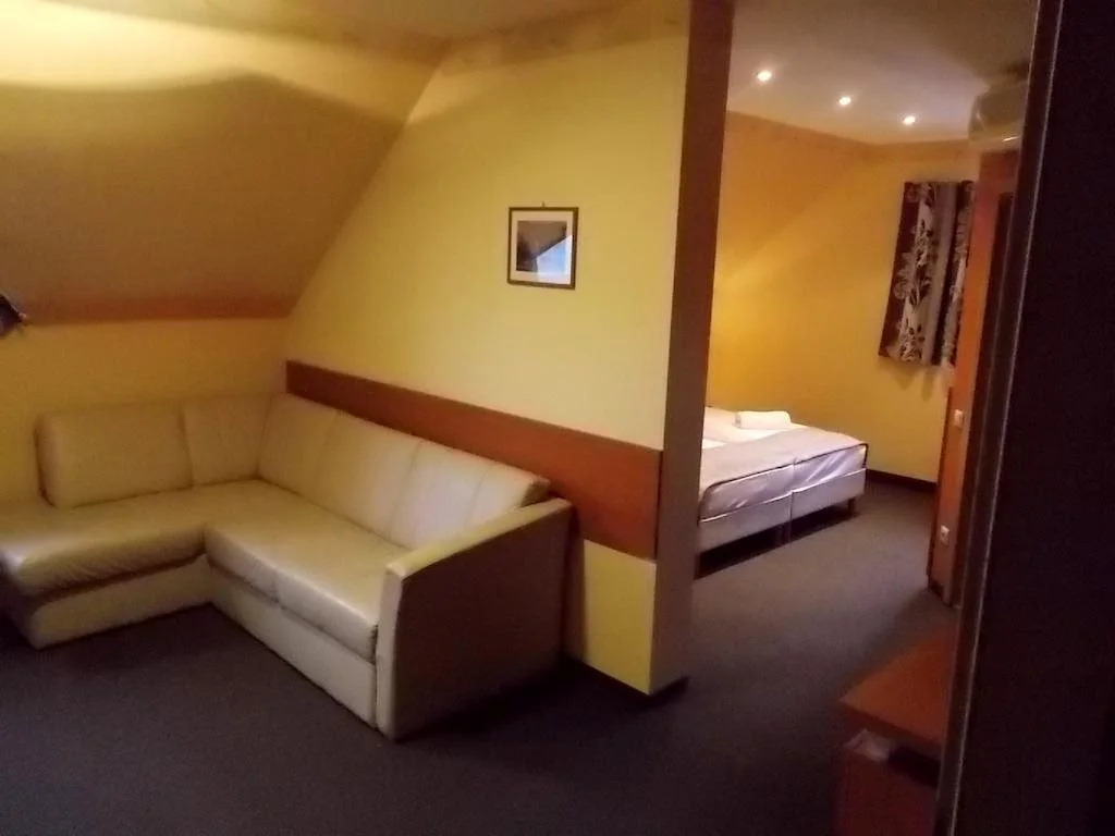 Hotel Vineyard Inn - Szőlőskert