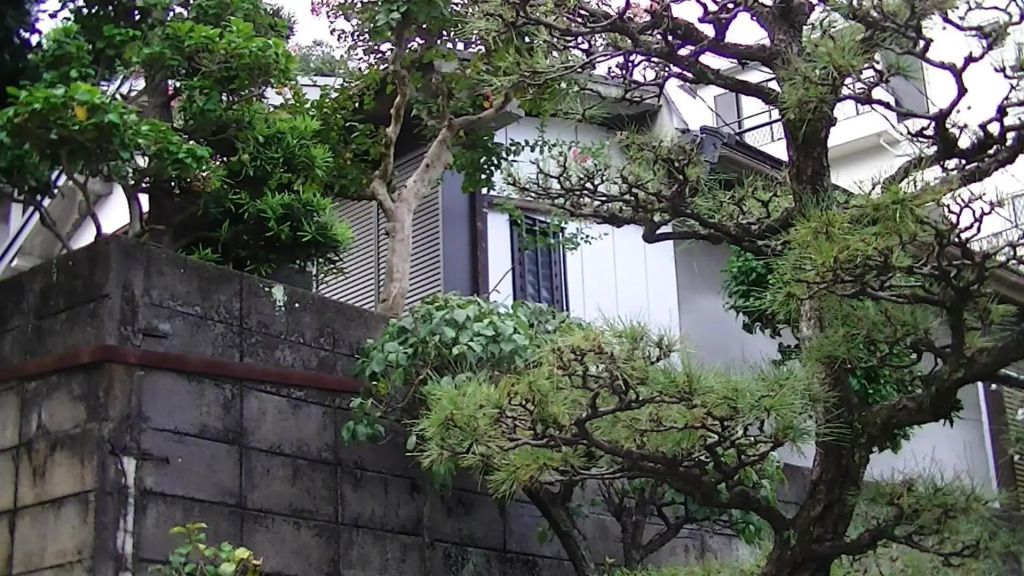 Minshuku Chatamago