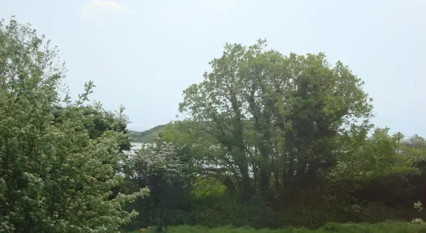 Knockmoy House B&B