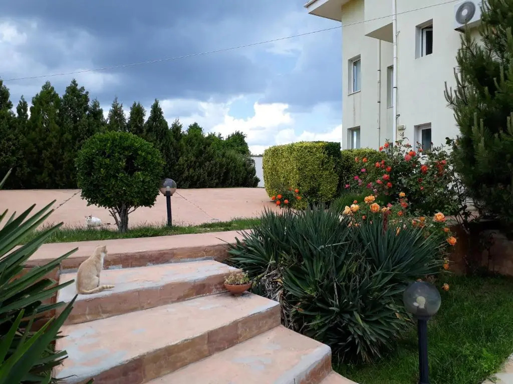 Villa Byala Grape House