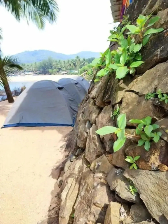 The Om View