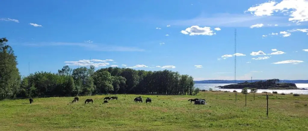 Hotell Jeløy Radio