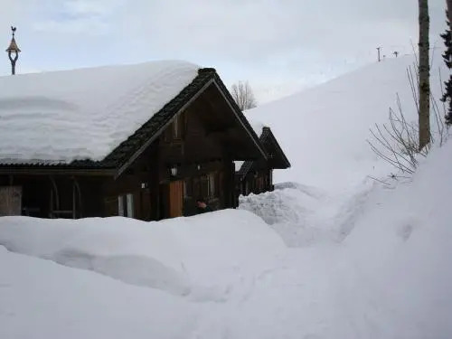Ferienwohnungen im Blockhaus Metzler