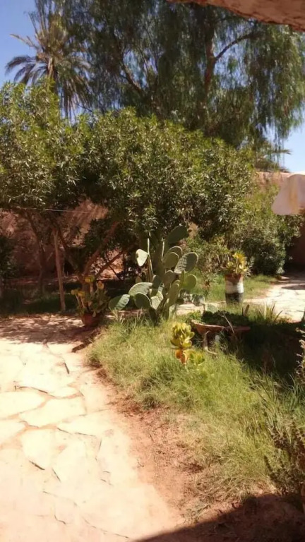 La maison saharaouie