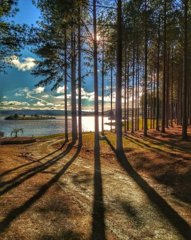 Tedesco Eco Park