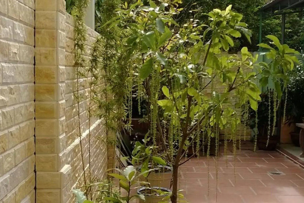 Hi Hợp Yến Homestay