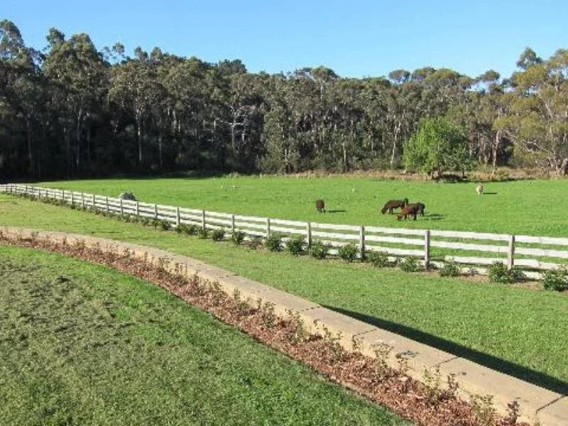 Rosefield Bed and Breakfast