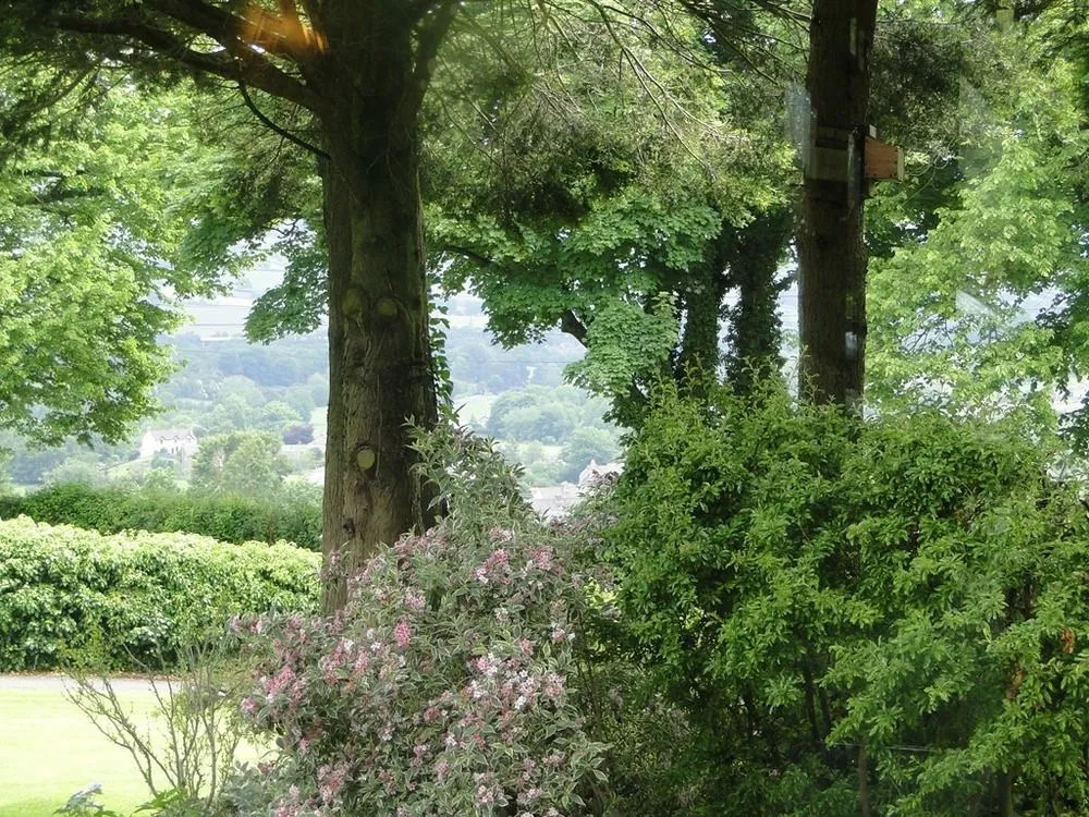 Stoney Ridge