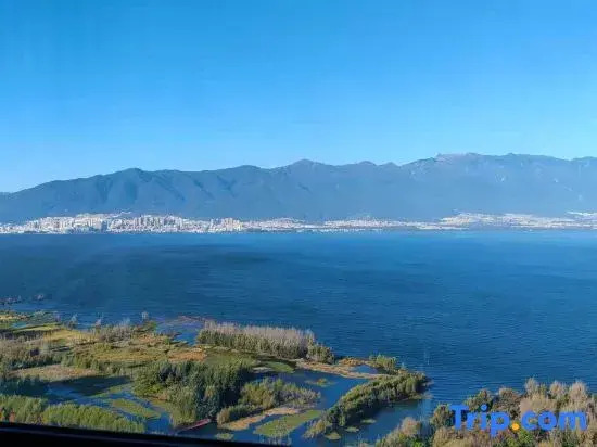 Yunnan Dinglu Homestay (Global Times)