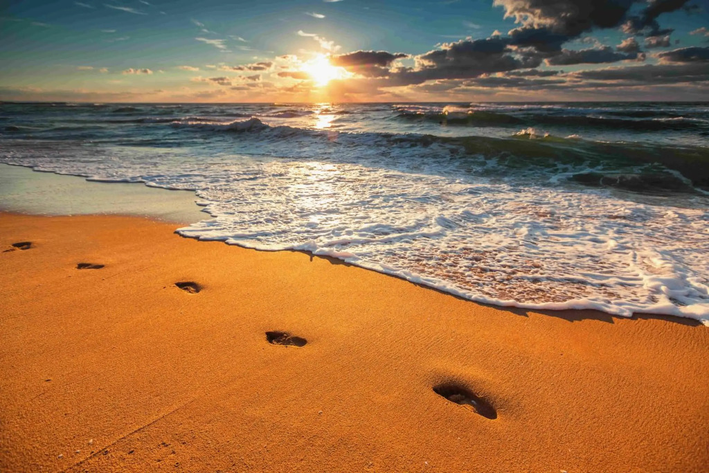 Le Paradis 5