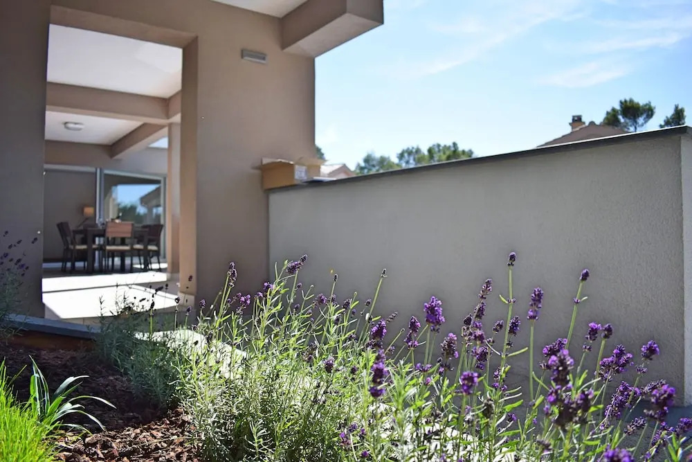 Luxury Apartments Adria