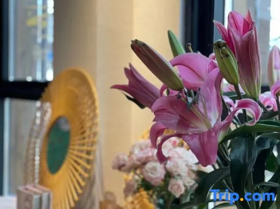 Ning Bo Han Ling Wu Yi Shan Ju Homestay