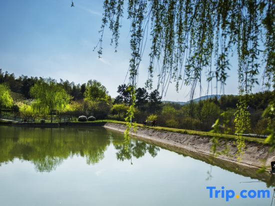Nanshan Bamboo Seagull Nanshan Hot Spring Resort