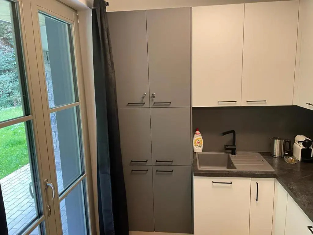 Luxury apartment Trio Harrachov A.2