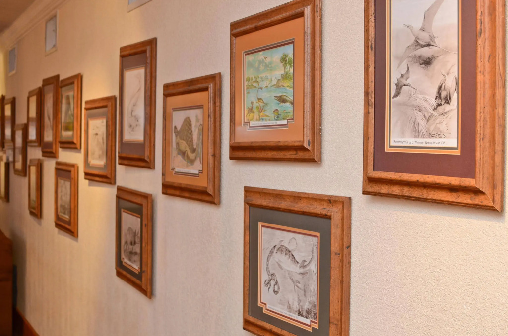 Best Western Dinosaur Valley Inn & Suites