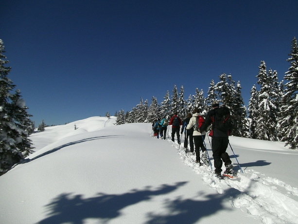 Wander-Vitalhotel Steirerhof