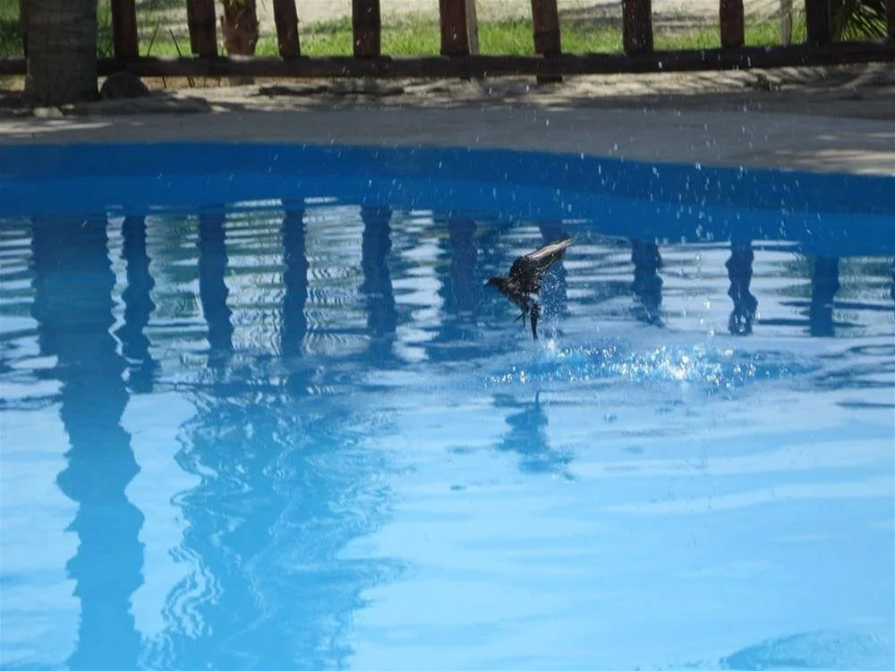 Hotel Pinamar