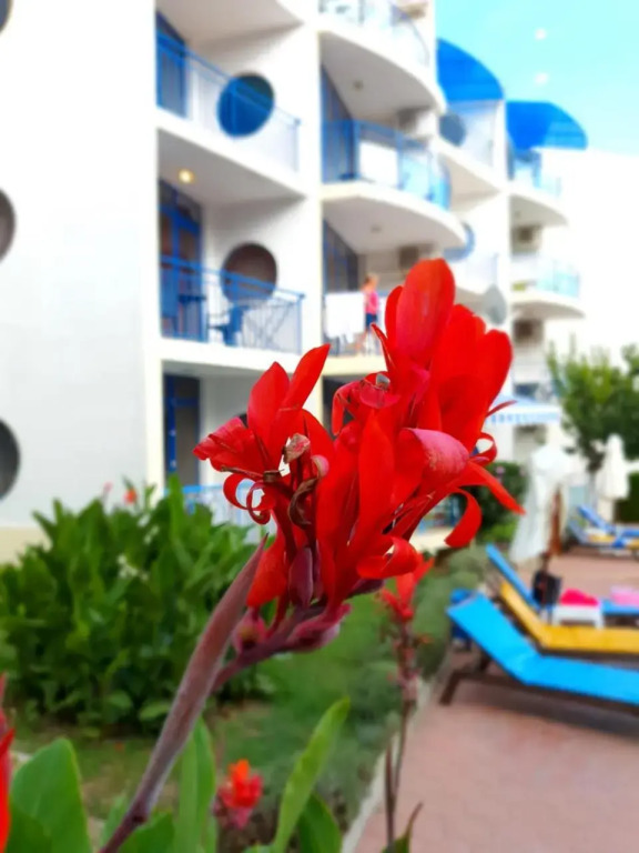 Sveti Vlas Marina Beach Apartment - Vega Village