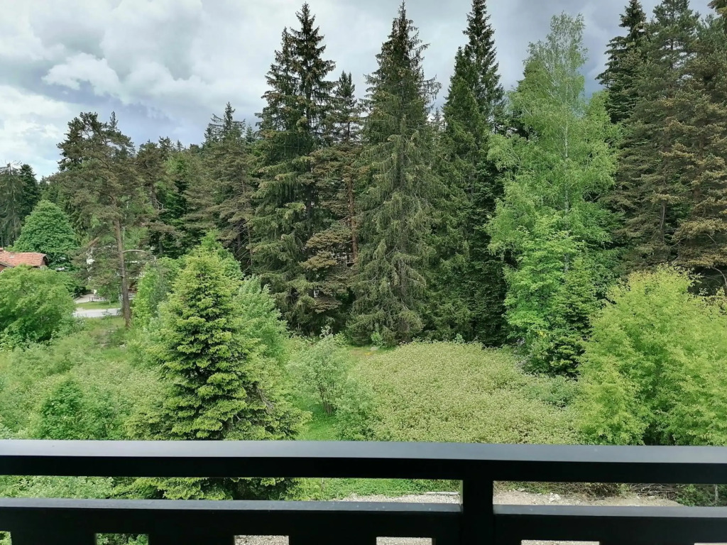 Borovets Gardens Studio D36
