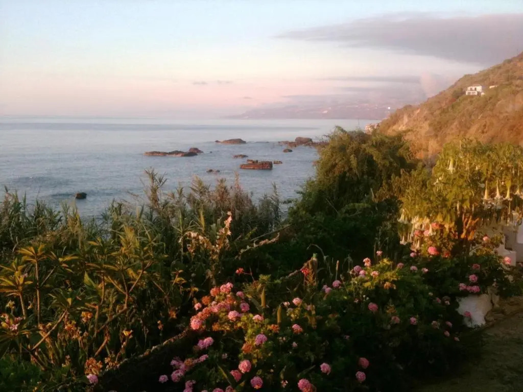 Alenes del Mar