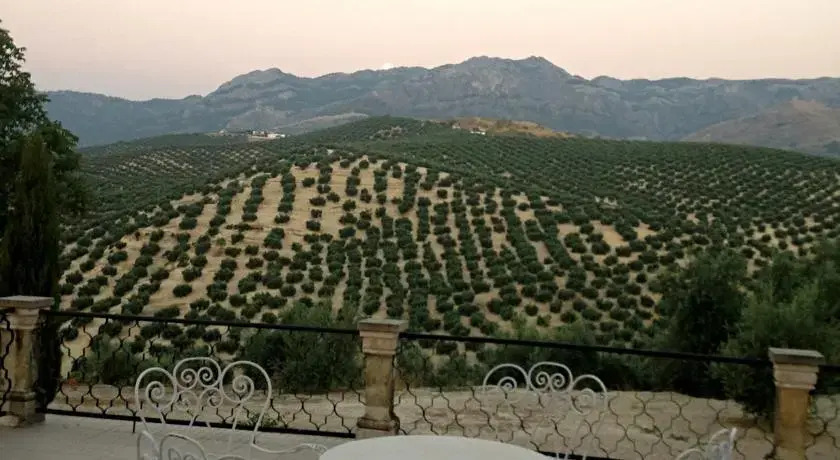La Almedina casa Bellavista