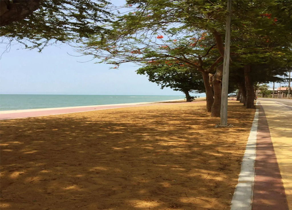 Bacchus Home Resort
