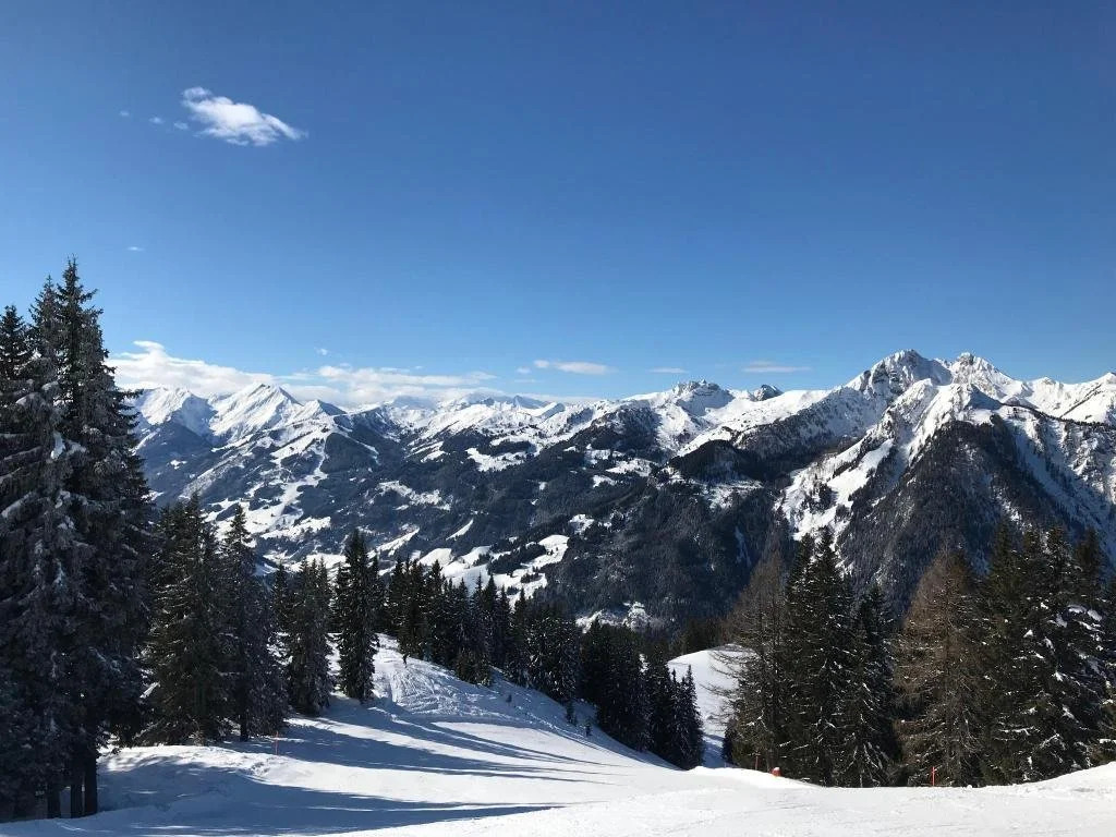 Wander- und Familienhotel Erika