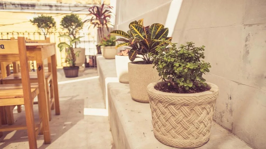 Casa Jade - Hostel
