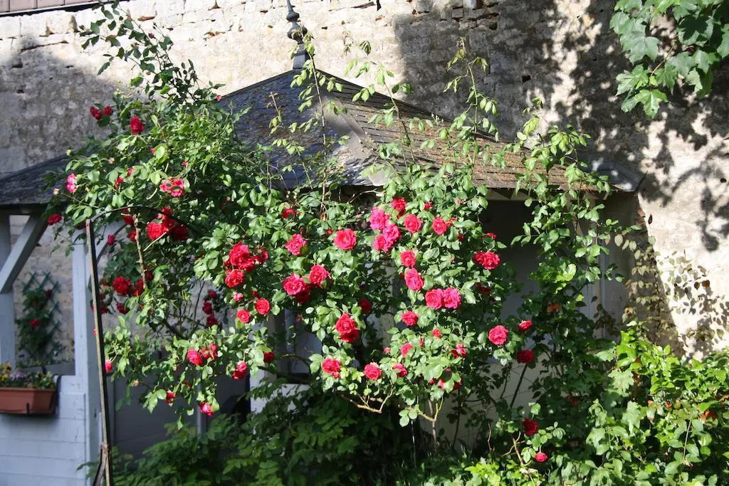 La Cantilienne