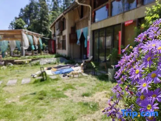 Huamanli · Zen Healing Homestay (Yunhe Terrace Scenic Area)