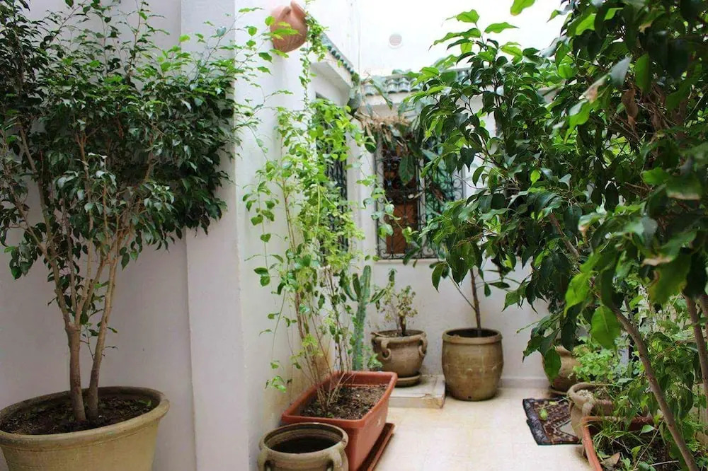 Apartment With one Bedroom in Tunis, With Wonderful Mountain View, Fur