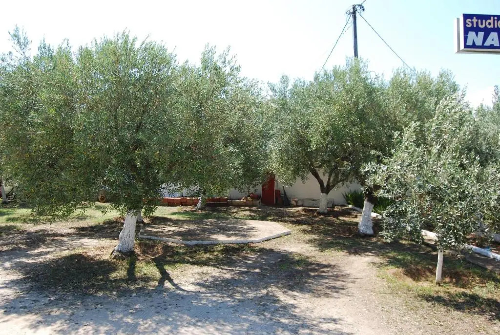 Studio Nastasia