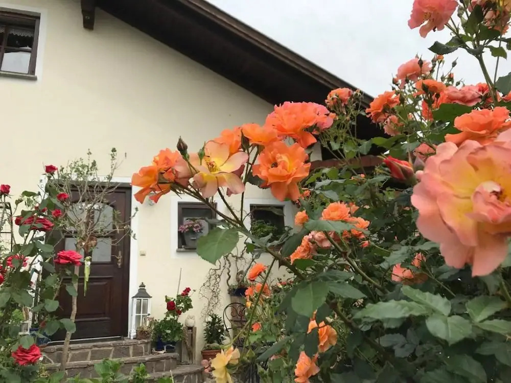 Ferienwohnung Evi